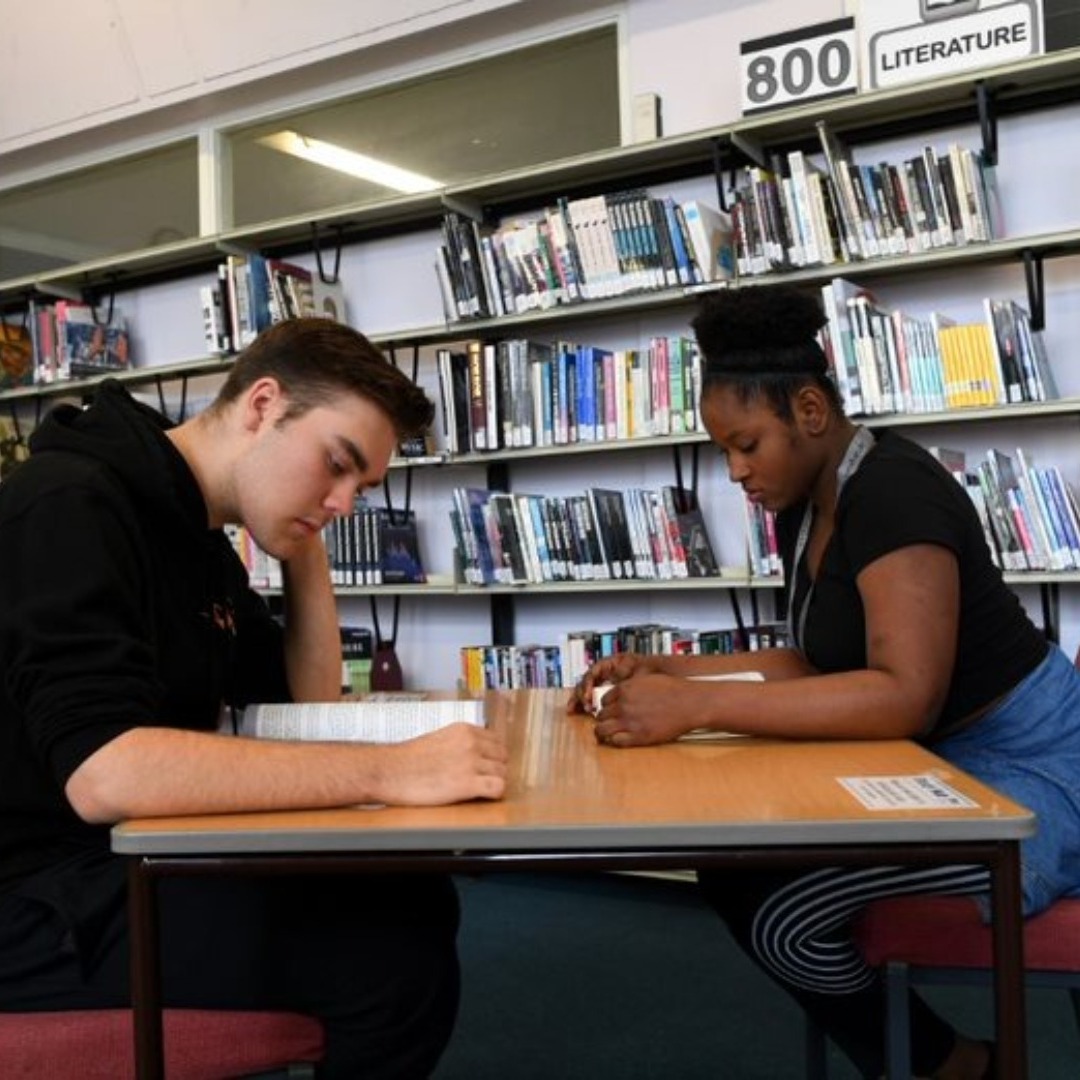 Students working in the library