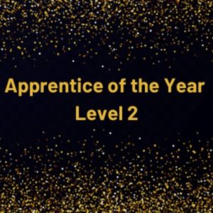 Black square with Apprentice of the Year Level 2 written in gold
