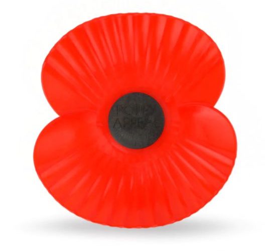 Red remembrance poppy with black centre